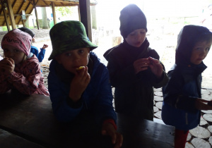Przedszkolaki jedzą śliwki